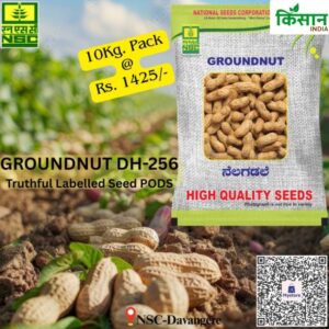 National Seed Corporation