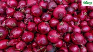 Mandi Bhav: इस राज्य में 3 रुपये किलो हुआ प्याज, सड़क पर उतरे नाराज किसान