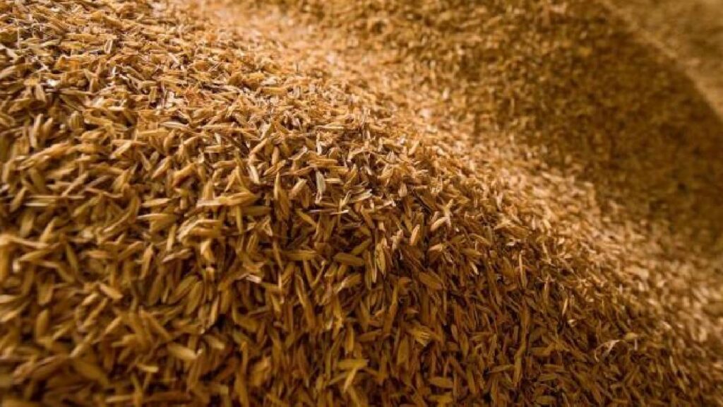 SEA urges government to lift export ban on de-oiled rice bran; warns of industry losses and farmer distress