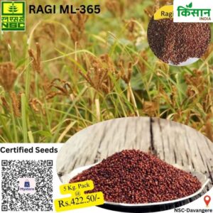 National Seed Corporation