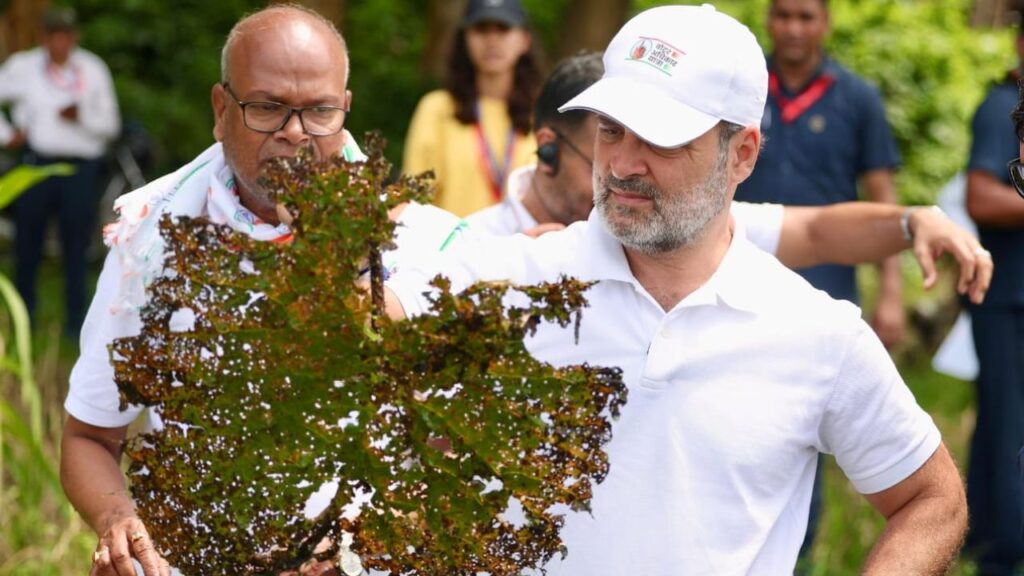 राहुल गांधी पंजाब पहुंचे हैं. (फाइल फोटो)