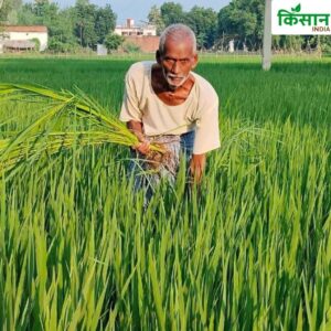 Gorakhpur Farmer