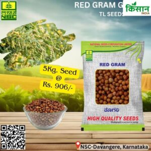 National Seed Corporation