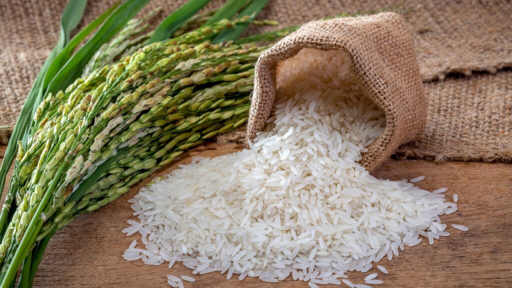India Aims to Double Agricultural Exports and Open New Global Markets for Rice in Five Years