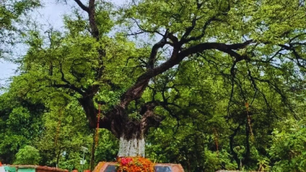 शहीद स्मारक: बावनी इमली आज देशभक्ति और बलिदान का प्रतीक है. यह स्मारक आने वाली पीढ़ियों को याद दिलाता है कि स्वतंत्रता किसी आसान रास्ते से नहीं मिली. शहीद स्मारक: बावनी इमली आज देशभक्ति और बलिदान का प्रतीक है. यह स्मारक आने वाली पीढ़ियों को याद दिलाता है कि स्वतंत्रता किसी आसान रास्ते से नहीं मिली.