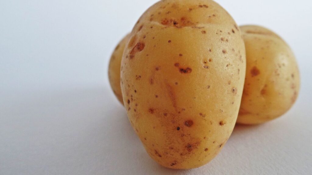 अगर घर में आलू का ज्यादा स्टॉक हो, तो उन्हें हर कुछ दिन में चेक करें. खराब, अंकुरित या हरे धब्बेदार आलुओं को तुरंत हटा दें, ताकि बाकी आलू सुरक्षित रहें. अगर घर में आलू का ज्यादा स्टॉक हो, तो उन्हें हर कुछ दिन में चेक करें. खराब, अंकुरित या हरे धब्बेदार आलुओं को तुरंत हटा दें, ताकि बाकी आलू सुरक्षित रहें.