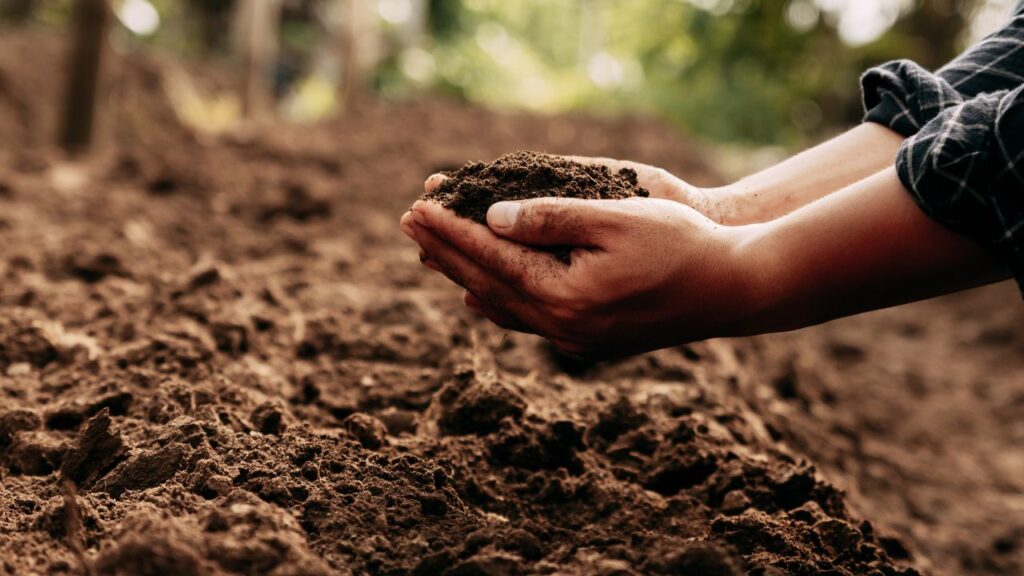 Soil Health