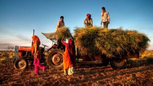 सिंचाई के लिए 32 लाख सोलर पंप बिक्री शुरू, MSP पर कोदो-कुटकी खरीदने की घोषणा