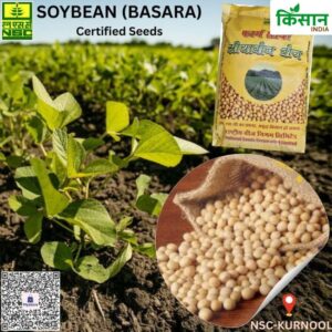 National Seed Corporation