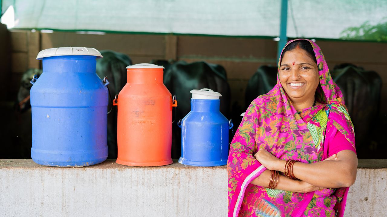 Chhatarpur Farmer Rani Yadav Improved Her Financial Condition Through Aajeevika Mission She Is Doing Various Jobs Including Dairy Farming