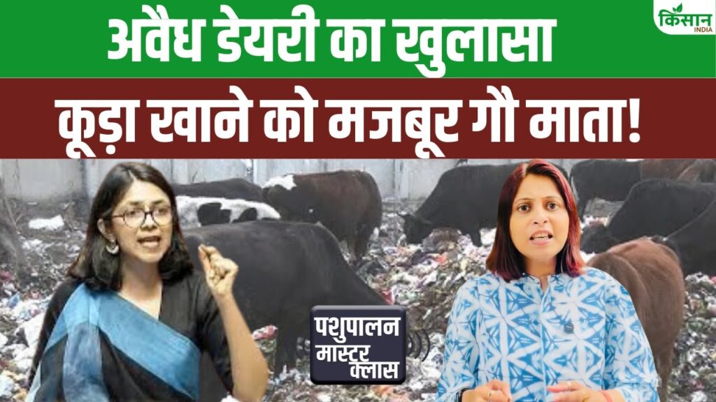 Dairy Farming