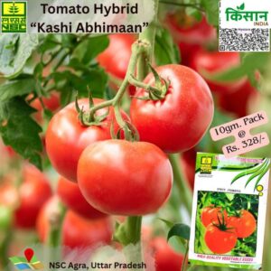 National Seed Corporation