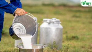 Milk Price Hike: पंजाब सरकार ने दूध का भाव बढ़ाया, 30 लाख डेयरी किसानों को मिलेगी ज्यादा कीमत