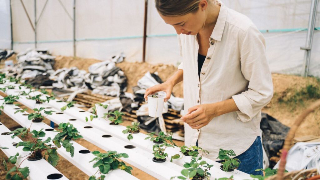 वर्टिकल फार्मिंग ऐसी तकनीक है जिसमें खेत की जरूरत नहीं होती. घर की दीवारों या छत पर गमलों के जरिए सब्जियां और फल उगाए जा सकते हैं. इससे छोटे घरों या जमीन न होने वाले किसानों को भी खेती करने का मौका मिलता है. वर्टिकल फार्मिंग ऐसी तकनीक है जिसमें खेत की जरूरत नहीं होती. घर की दीवारों या छत पर गमलों के जरिए सब्जियां और फल उगाए जा सकते हैं. इससे छोटे घरों या जमीन न होने वाले किसानों को भी खेती करने का मौका मिलता है.