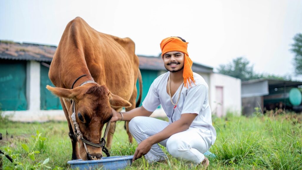 animal husbandry