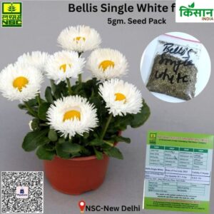 National Seed Corporation