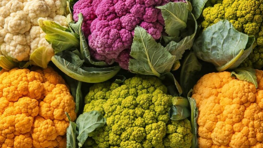 Colorful Cauliflower: A Nutritious Superfood and Profitable Crop for Indian Farmers