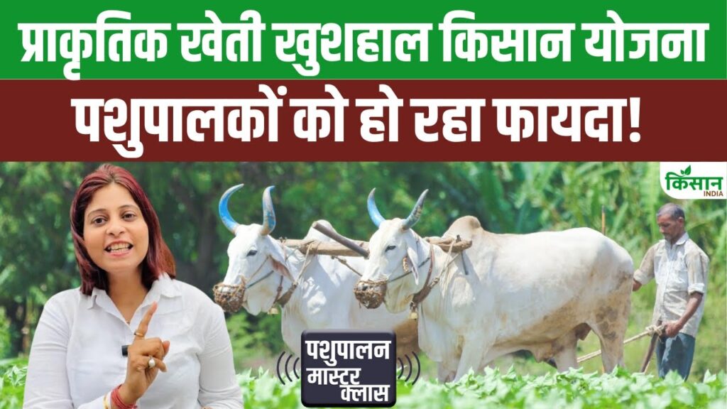 cow farming subsidy scheme