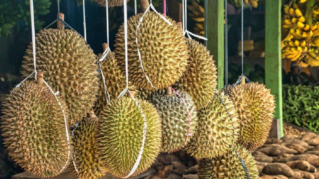 Durian: The World’s Smelliest Fruit Banned in Hotels and Airports but Packed with Health Benefits
