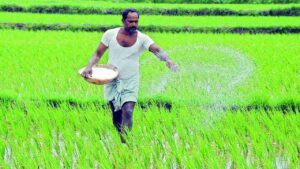 किसानों को नहीं मिल रही खाद, स्टॉक में बचा है केवल 42,000 टन यूरिया.. मंत्री की केंद्र से खास अपील