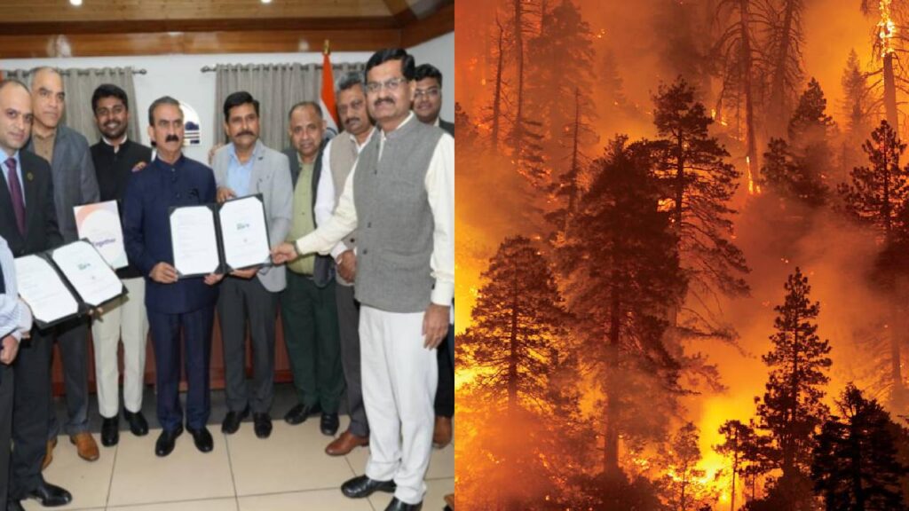 Himachal’s Biochar Project: Turning Forest Waste into Jobs and Climate-Friendly Solutions
