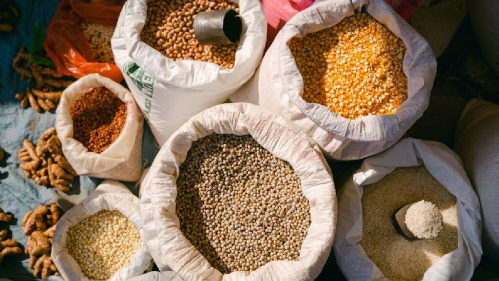 Excess Rain Hits India’s Kharif Pulses: Green Gram and Black Matpe Yield and Quality Take a Big Knock