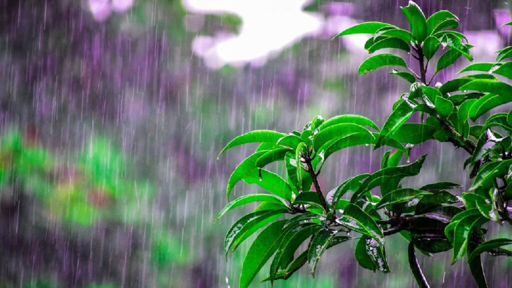 August 14, 2025: Heavy Rain Alert in UP, Bihar and Several States as Monsoon Intensifies