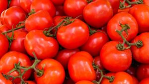 Tomato Price Hike: टमाटर हुआ महंगा, कीमत में 26 फीसदी की बढ़ोतरी.. जानें कब सस्ते होंगे रेट