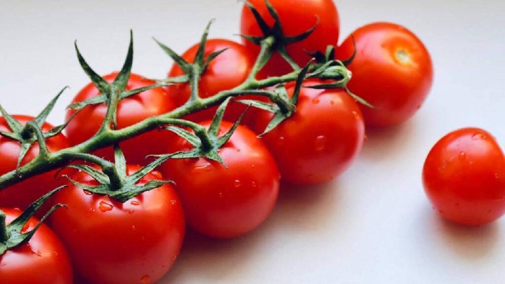 चेरी टमाटर उगाने के लिए आपको बड़े खेत या बगीचे की जरूरत नहीं. एक 12–14 इंच के गमले में भी अच्छी फसल मिल सकती है. गमले में पानी निकालने के लिए छेद जरूर हों.