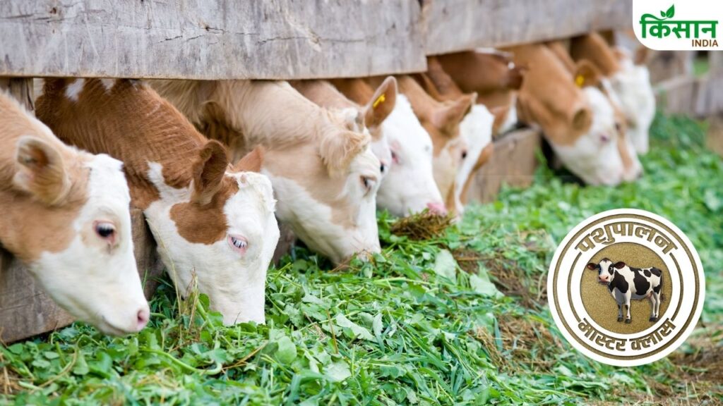 Livestock news