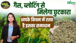 गैस और ब्लोटिंग में रामबाण है सौंफ, जानिए इसके चमत्कारी फायदे