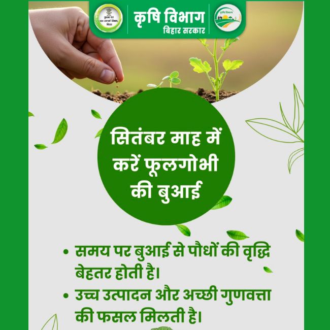 Bihar News
