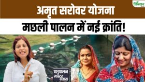 अमृत सरोवर योजना से आत्मनिर्भर बनीं महिलाएं, मछली पालन से कर रहीं लाखों में कमाई