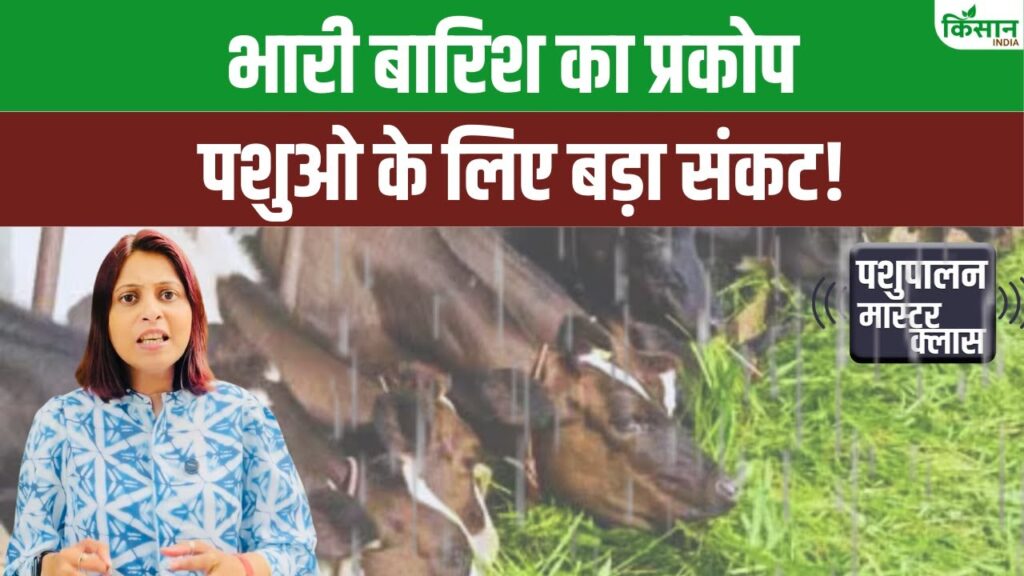 Animal Husbandry