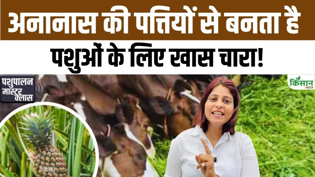 Animal Husbandry