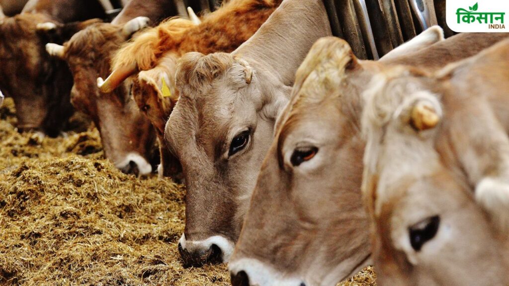 Animal Husbandry