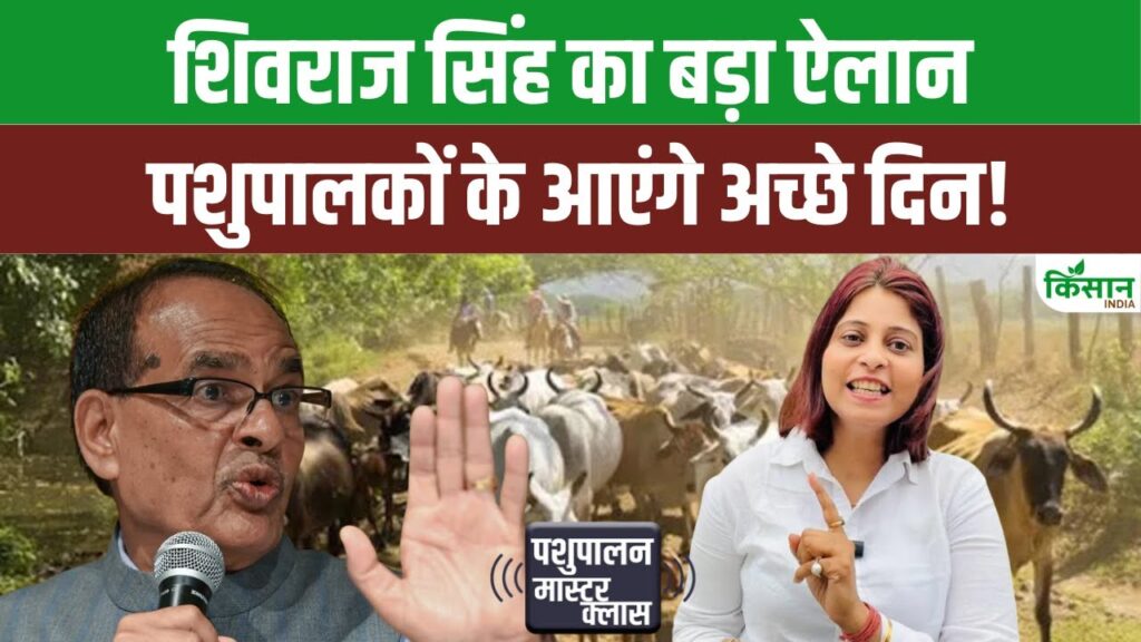 Animal Husbandry