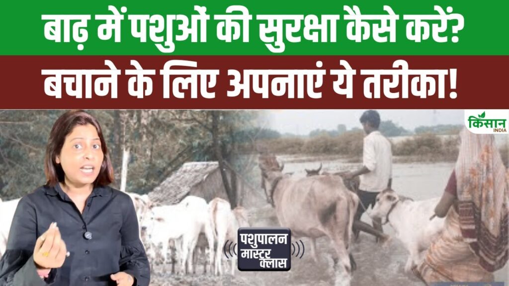 Animal Hubandry