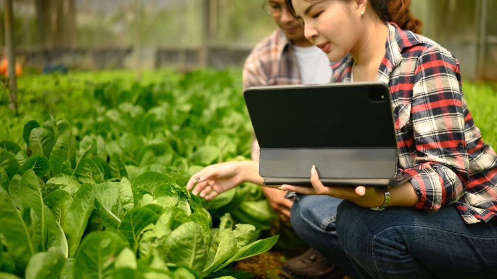 Digital Farming Ke Fayde: डिजिटल उपकरण किसानों को मिट्टी की पीएच लेवल, पोषक तत्वों की स्थिति और फसल में संभावित रोगों का पता लगाने में मदद करते हैं, जिससे समय रहते उचित कदम उठाए जा सकते हैं.