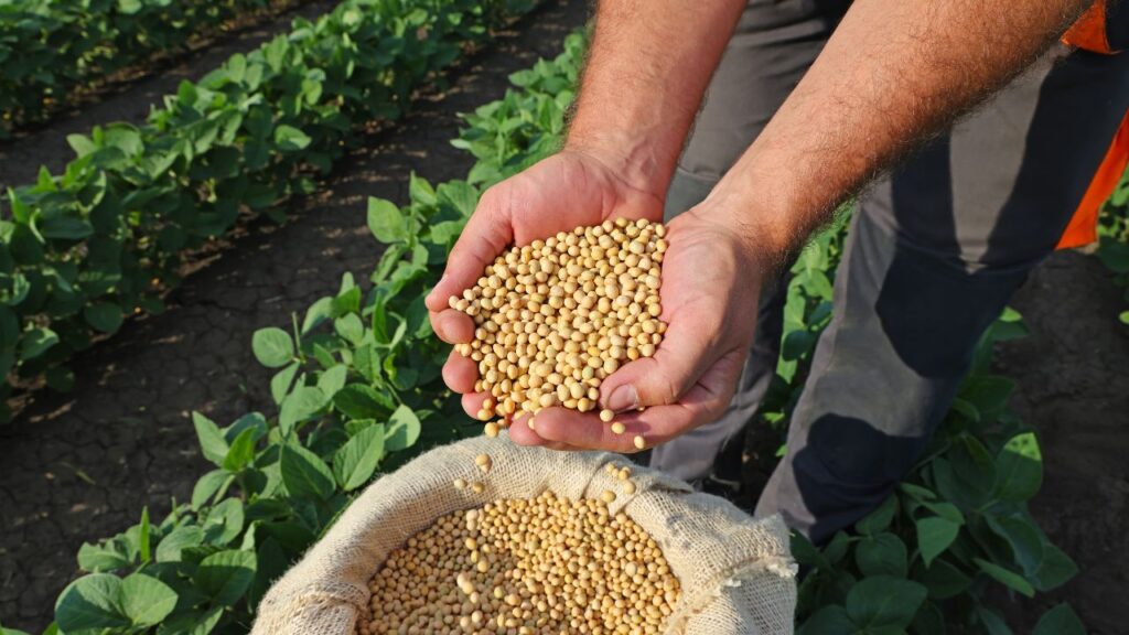Bhavantar Yojana for soybean farmers madhya pradesh