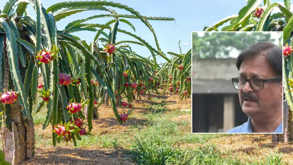 Bihar Successful Farmer