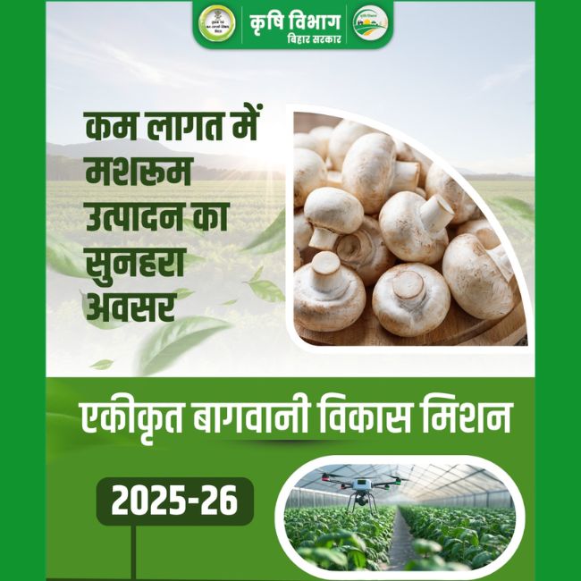 Mushroom Production