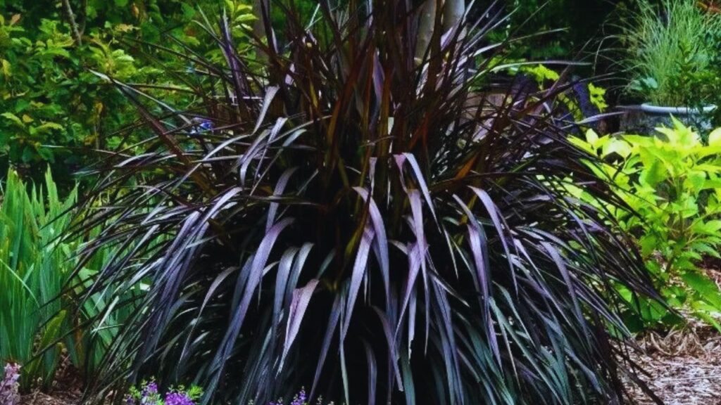 कम पशु पालने वाले किसान भी फायदा ले सकते हैं. अपनी जरूरत पूरी करने के बाद बचा हुआ चारा बाजार में बेचकर सालाना 50 हजार से 1 लाख तक की अतिरिक्त कमाई संभव है.