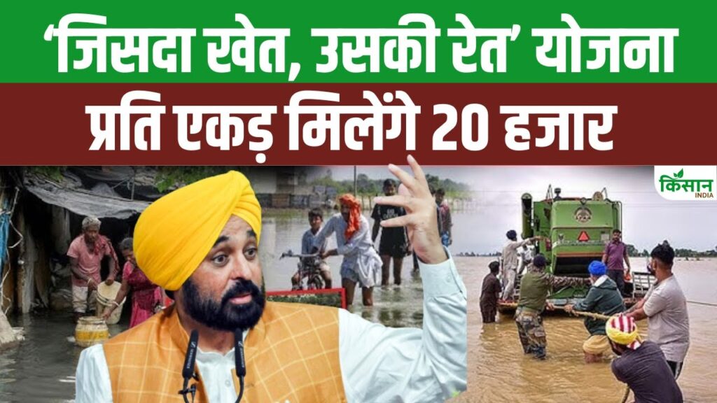 Punjab News