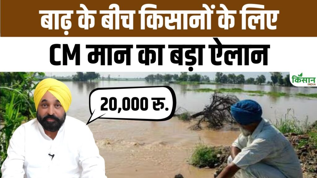 Punjab News