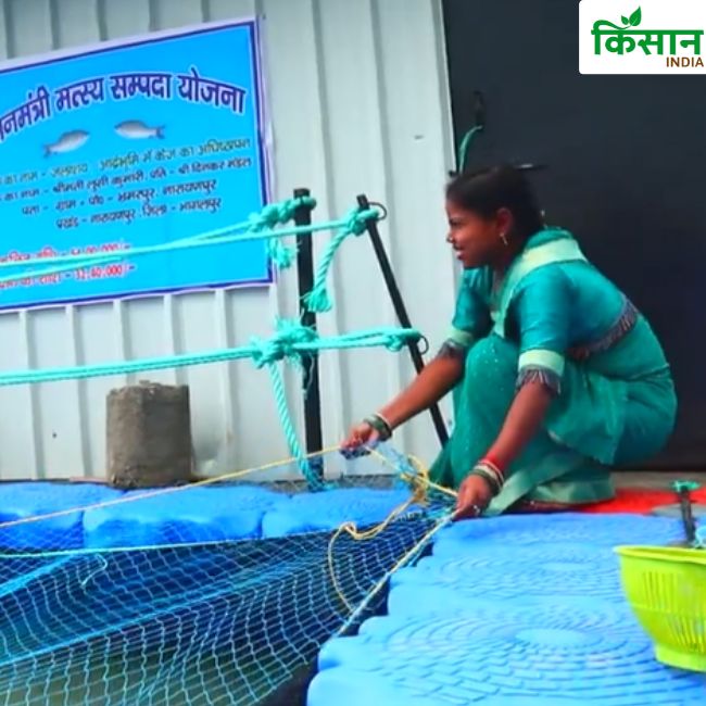 Fish Farming