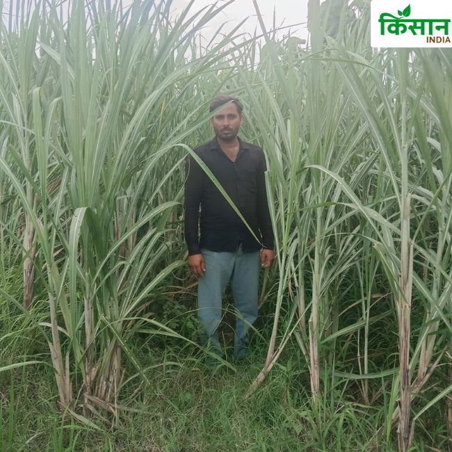 Uttar Pradesh News