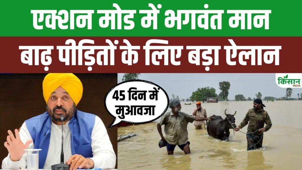 Punjab News