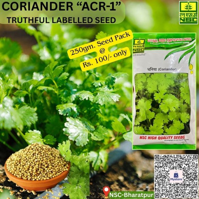 National Seed Corporation