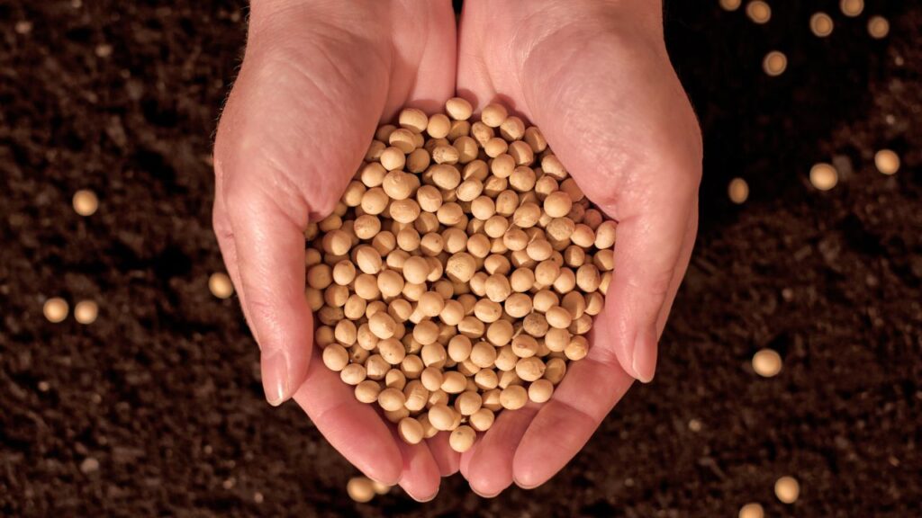 Crop Purchase
